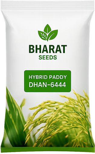 Hybrid Paddy Dhan 6444 seed bag